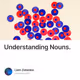 Understanding Nouns.