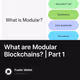 What are Modular Blockchains? | Part 1
