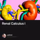 Renal Calculus I