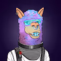 Moody Llamas Club