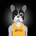 frankiethedog gang sportwear