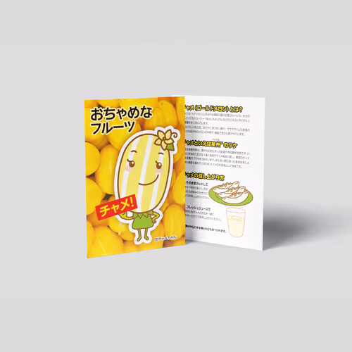 Korean Yellow Melon Promotion Design for NH JAPAN - May. 2013