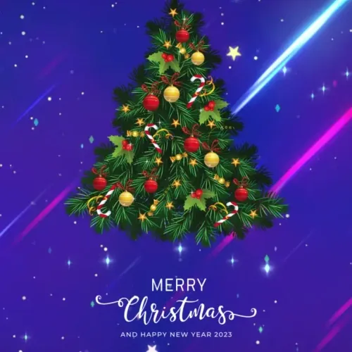XMAS 2022 with CoinFantasy