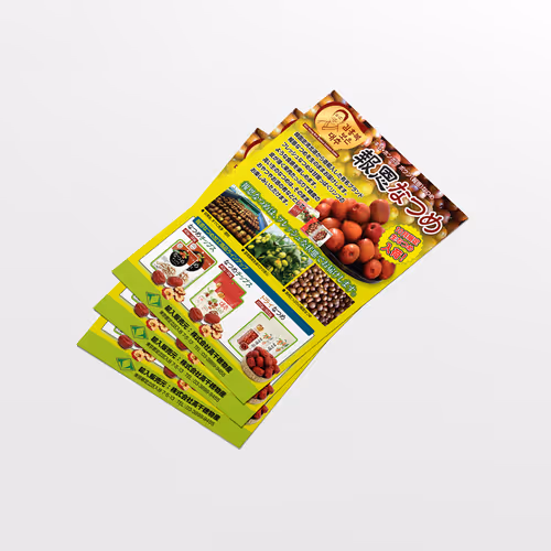 Takachiho Jujube Promotional Leaflet Design - Aug. 2016