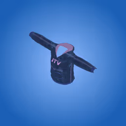 Item #496 Media
