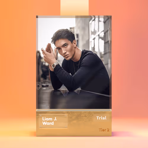 Item #11 Media