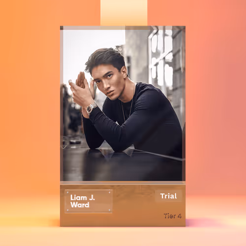 Item Media