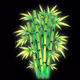 Mysterious Bamboo
