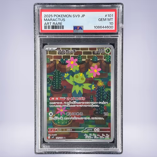 2025 Pokémon マラカッチ #101 PSA 10