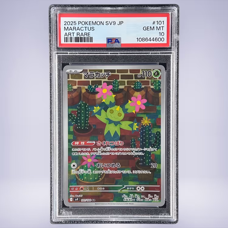 2025 Pokémon マラカッチ #101 PSA 10
