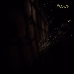 46