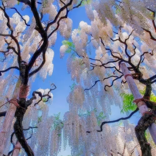worldverse.lens-Collect-1202