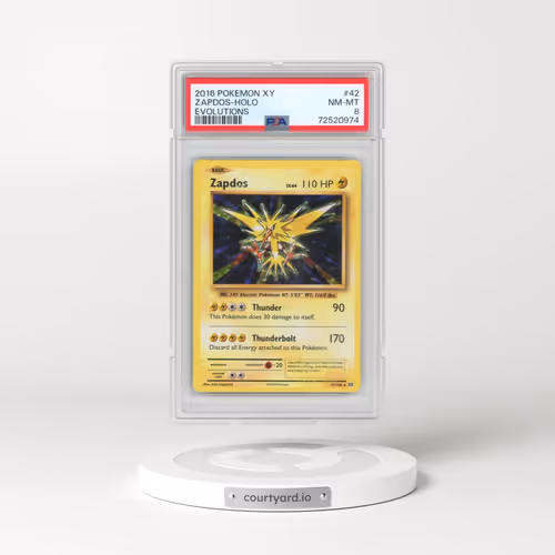 2016 Pokémon XY Evolutions #42 Zapdos - Holo (PSA 8 NM-MT)