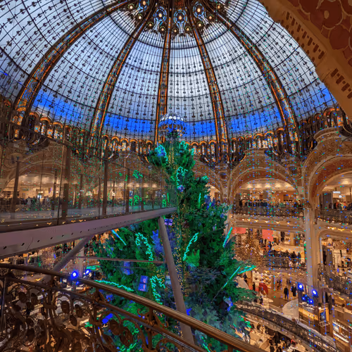 jeanmi.lens-Collect-478