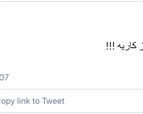 18242381