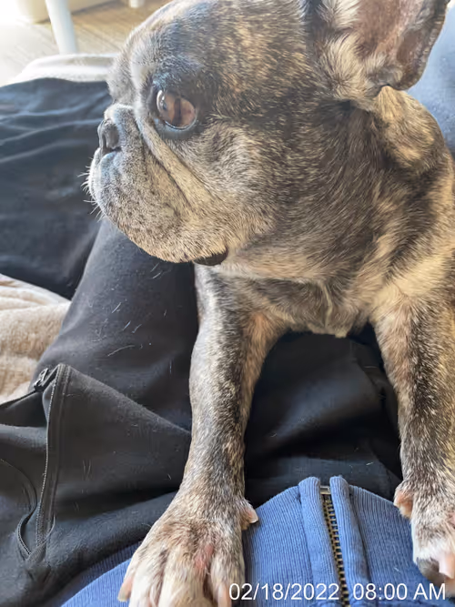 Item #99685864258770601277757069699041273913103300030191572471139504817567585796097 Media