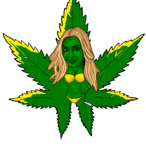 3629226787036885345407013839473637357726433756934680638690710322637594165249