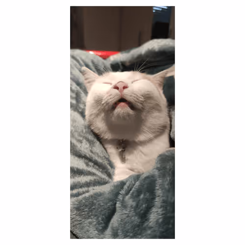 Item #111445205999481533169073477275871322289148374511979527118756874632043532648449 Media