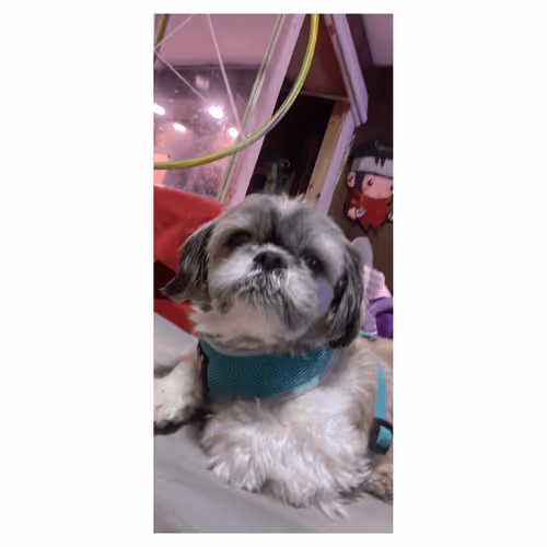 Item #111445205999481533169073477275871322289148374511979527118756874530888462894056 Media