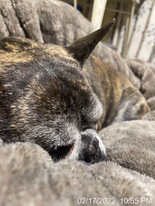 Item #99685864258770601277757069699041273913103300030191572471139504790079795101697 Media