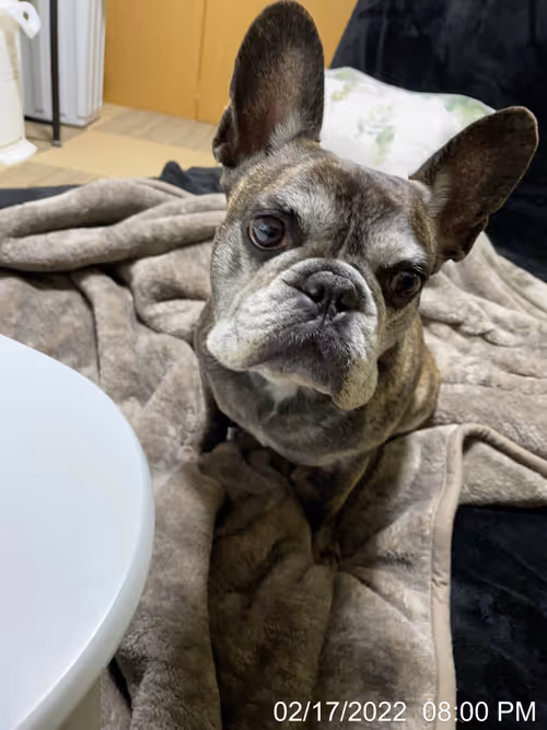 Item #99685864258770601277757069699041273913103300030191572471139504751596888129537 Media