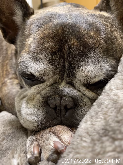 Item #99685864258770601277757069699041273913103300030191572471139504729606655574017 Media