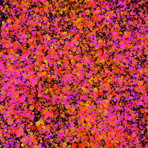 Item #7965548957634048696058756427613810033332288381231321723297303196591644999681 Media