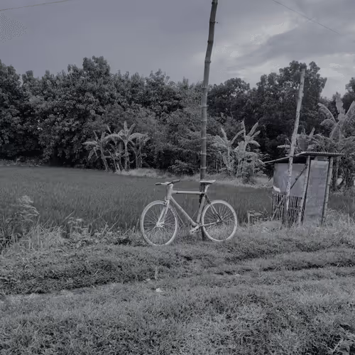 Item #68559569431204229879954683304597208139439570669218228257319616610105374539777 Media