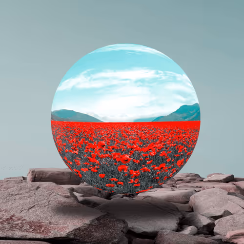 Item #111445205999481533169073477275871322289148374511979527118756874151556951310337 Media