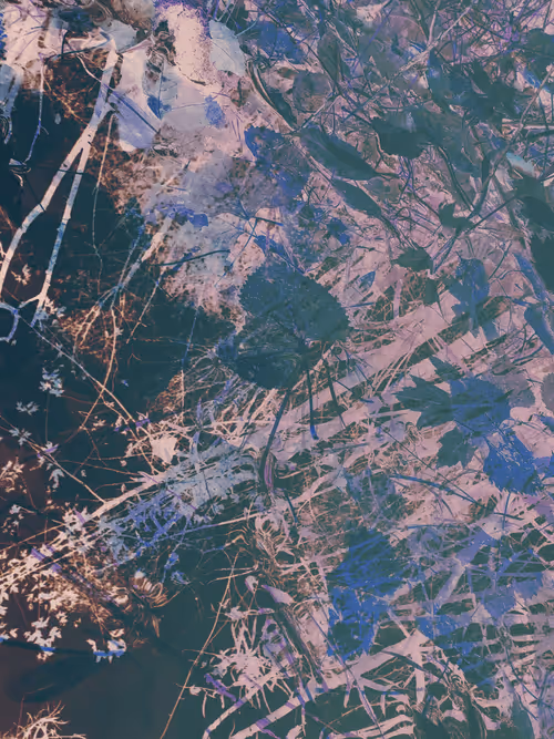 Item #111652930109264043611935341067736255756439208084570795366540966579753212444673 Media