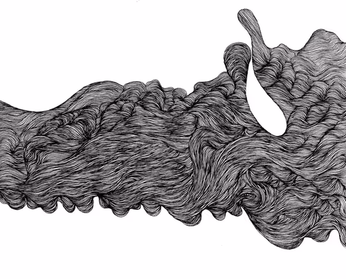 Item #48216677678887992956199146050101977369740452437452834237877791495973981126657 Media