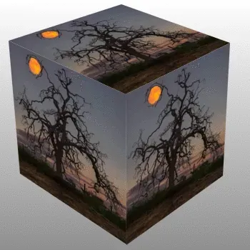 Item #109710830588480399268409455357539415839296167473445884238230358617662364319745 Media