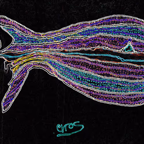 Item #725741523264774845243692948094742997582509546632707370899379702186681303041 Media