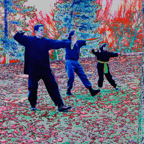 Item #33837607000032352885927809074044552355020479936404486384619596348300055281764 Media