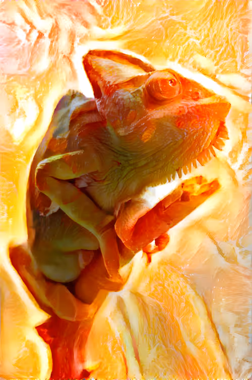 Item #106083745083212252067845023806943677932920086366174264387408480808010059350048 Media