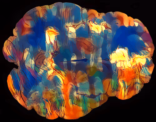 Item #29877578668728852178902598419785793077778618348046200683544678315149548847114 Media