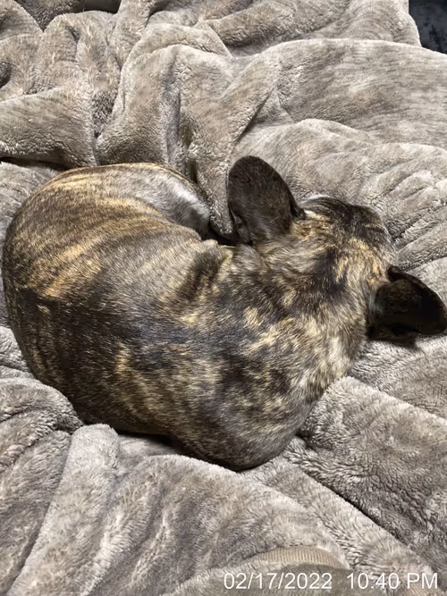 Item #99685864258770601277757069699041273913103300030191572471139504786781260218369 Media