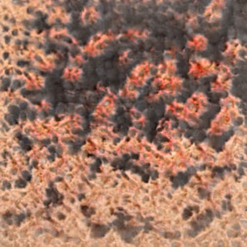 Item #58241160855422744817468407088196322100109565521561100950236907164369250418689 Media