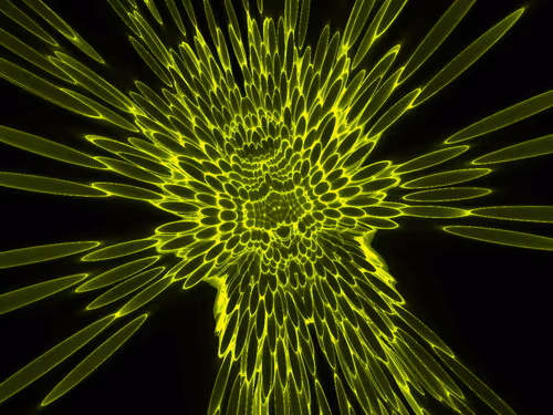 Item #14718161904791224572006404340921025965585961824448678818733127654201750454273 Media