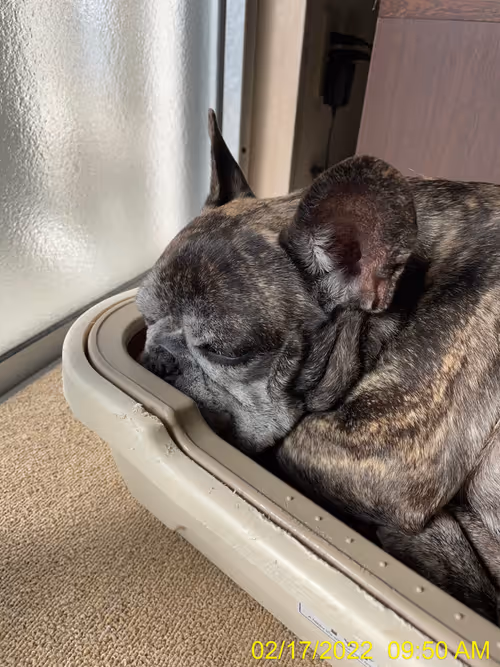 Item #99685864258770601277757069699041273913103300030191572471139504617456469540865 Media