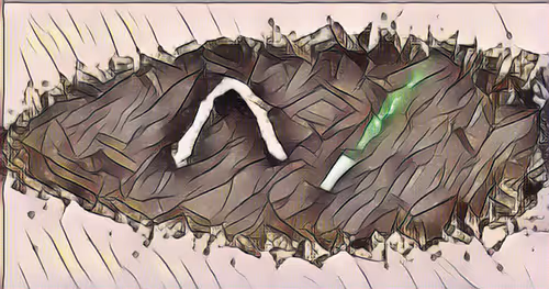 Item #42093524335751494135249053847432370819617106134141189519089943490478213179152 Media