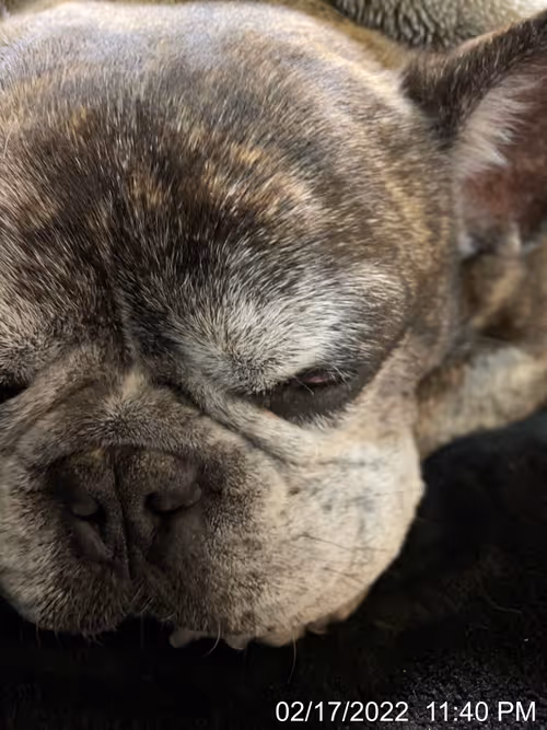 Item #99685864258770601277757069699041273913103300030191572471139504799975399751681 Media