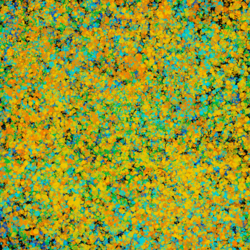 Item #7965548957634048696058756427613810033332288381231321723297303207586761277441 Media