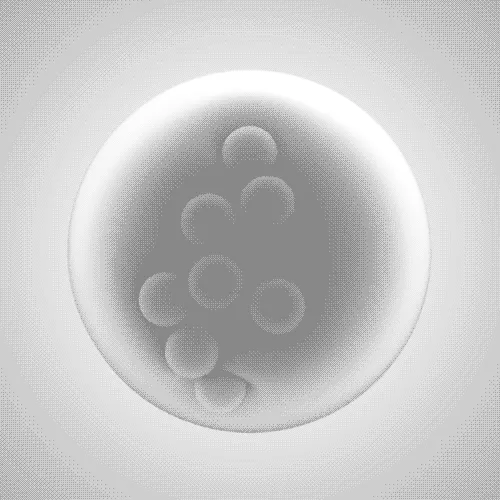 Item #15640196391568753366380860388153831806924111218358534206446070773770147069953 Media