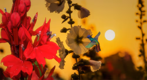 Item #41423174657448755454775180770704774351895892577704630438802697568763670167553 Media