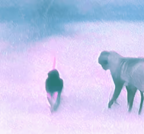 Item #81389452228015721923544690746270190594299388963234071450728085727479303503879 Media