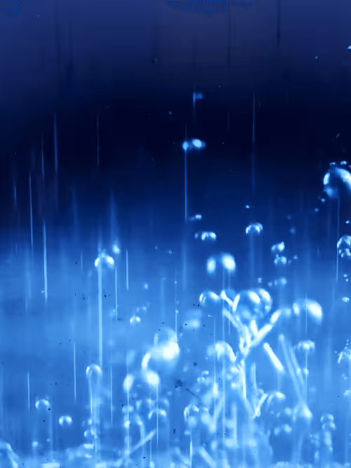 Item #85043563857425734787029872858228068518532895461354812368453170807662664744961 Media