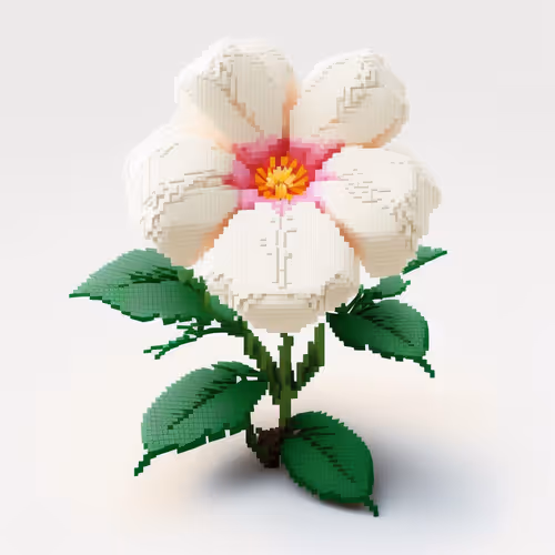 Item #80295868564913723404284844980520130220596009118355329382896586770352311374728 Media