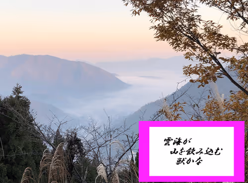 Item #105860209069510851658697483595549526517143773271628059867265555031398564233221 Media