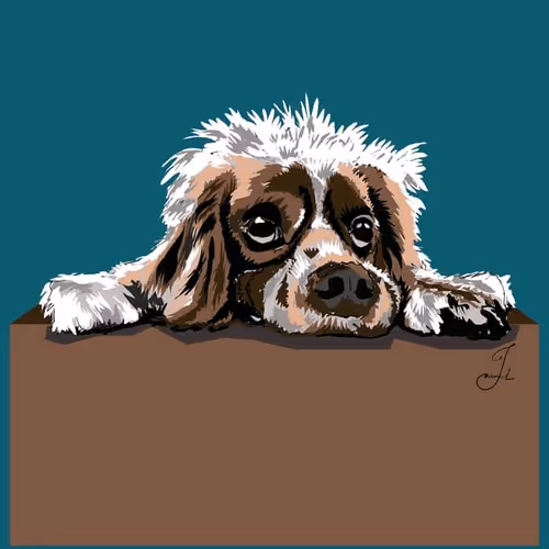 Item #21862560075351750362834648829307027680391468990895687197629985730950810566657 Media